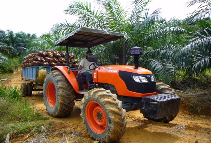 Kubota tractor — a typical model seen on Malaysian farms